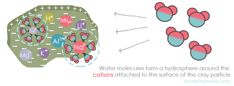 How Hydrospheres form on Clay Particles